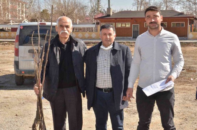 Elbistan’da Üreticilere 6 Bin 300 Adet Ceviz Fidanı Dağıtıldı