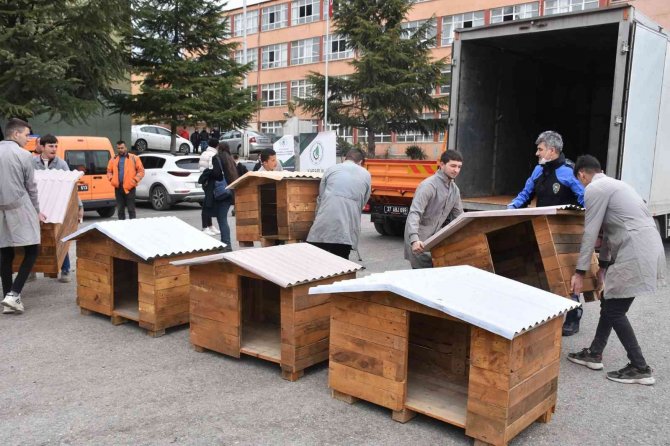 Lise Öğrenciler Can Dostları İçin Atıl Ürünlerden Köpek Kulübeleri Yaptı