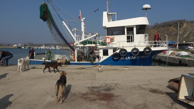İ̇ğneada’daki Balıkçılar Paniğe Kapıldı