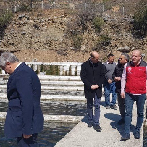 Köyceğiz’de Alabalık Ve Çilek Üretim Alanlarında İncelemelerde Bulunuldu