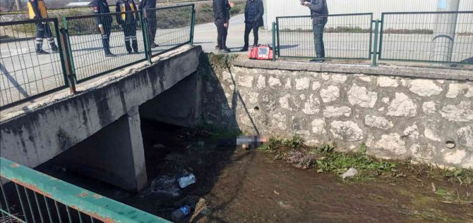 Kayıp Olarak Aranan Şahsın Derede Cansız Bedeni Bulundu