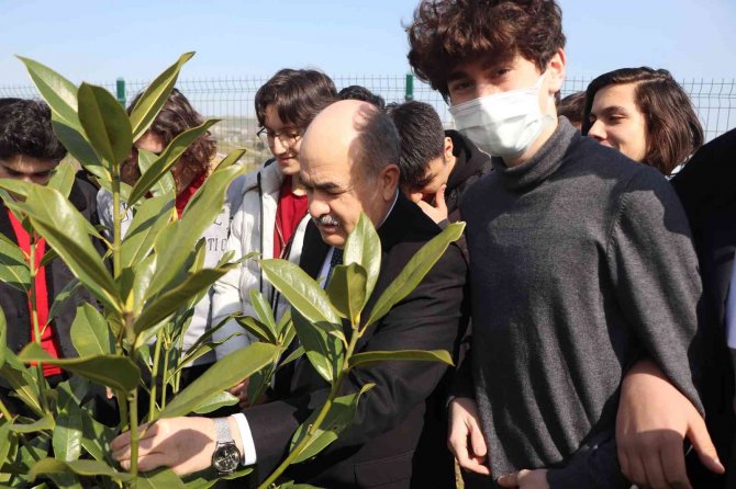 Vali Dağlı Öğrencilerle Birlikte Okul Bahçesinde Fidan Dikti