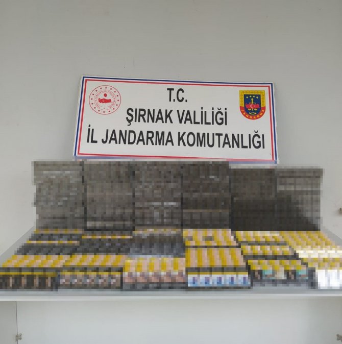 Şırnak’ta 10 Bin Paket Kaçak Sigara Ele Geçirildi: 65 Gözaltı