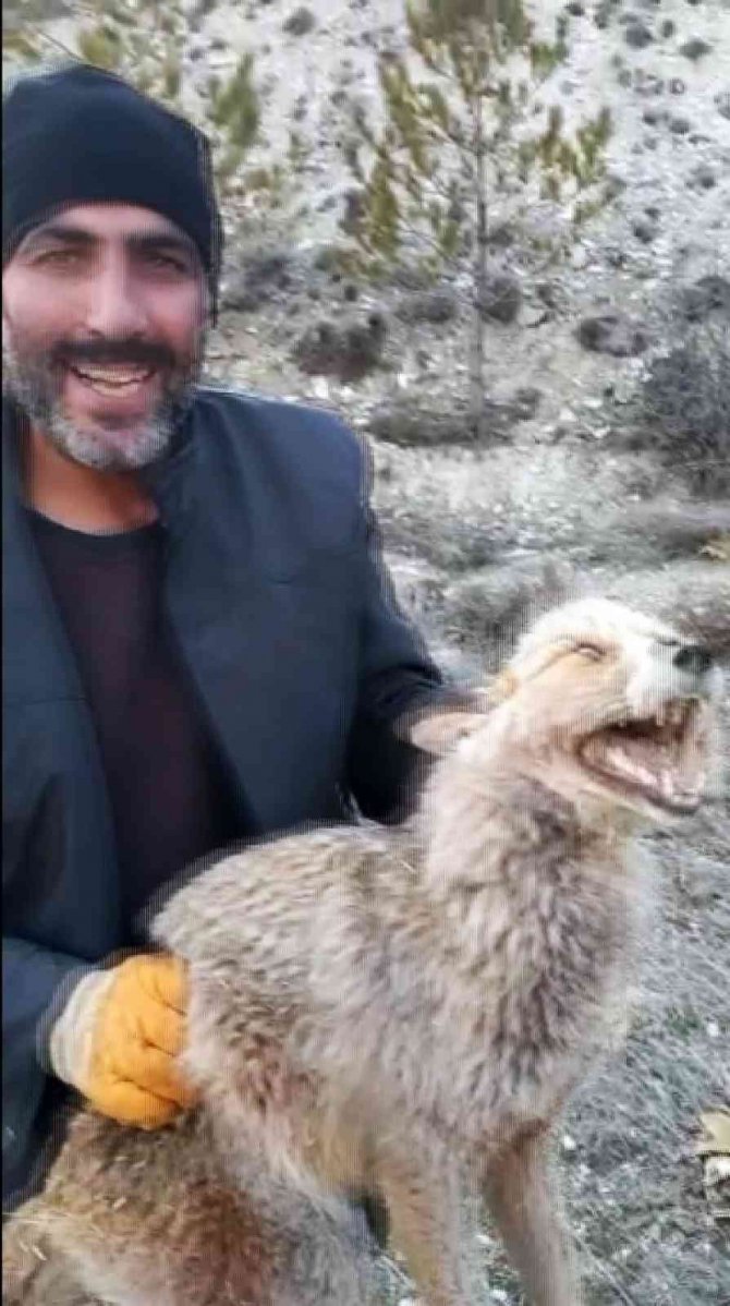 Hayvan Sevgisi Karşılıksız Kalmadı