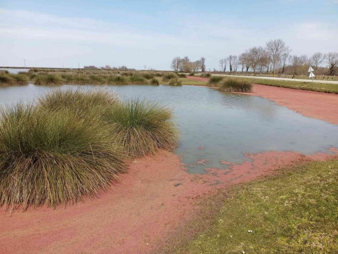 Kızılırmak Deltası Kızıla Büründü