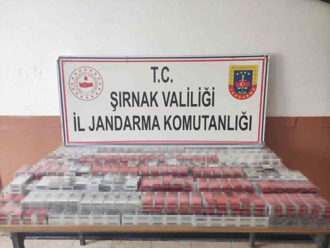 Şırnak’ta 10 Bin Paket Kaçak Sigara Ele Geçirildi: 65 Gözaltı