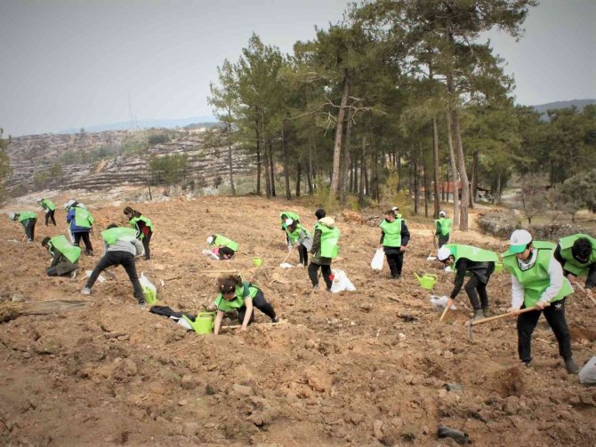 Milas’ta Binlerce Fidan Toprakla Buluştu