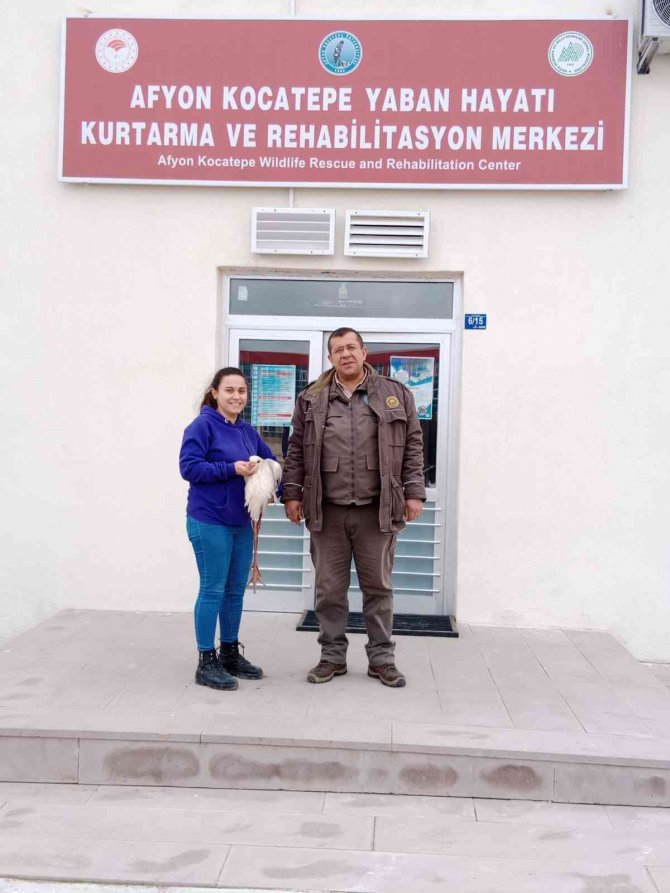 Yarılı Halde Bulunan Leylek Ve Atmaca Tedavi Altına Alındı
