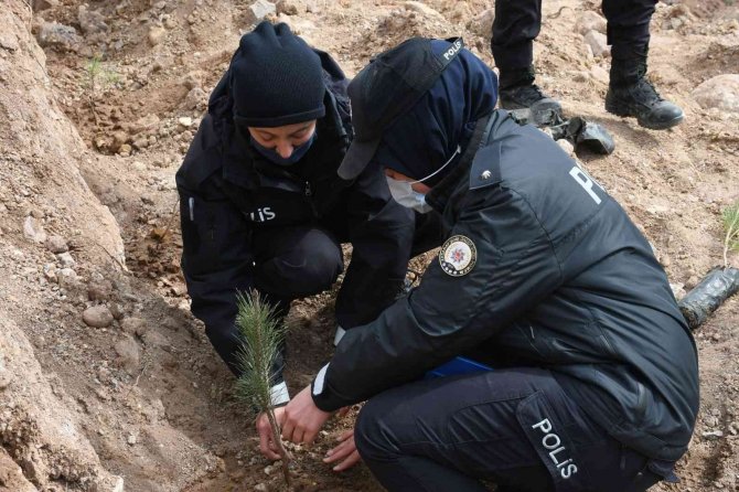 Adalet Ormanı’nda 7 Bin 500 Fidan Toprakla Buluşturuldu