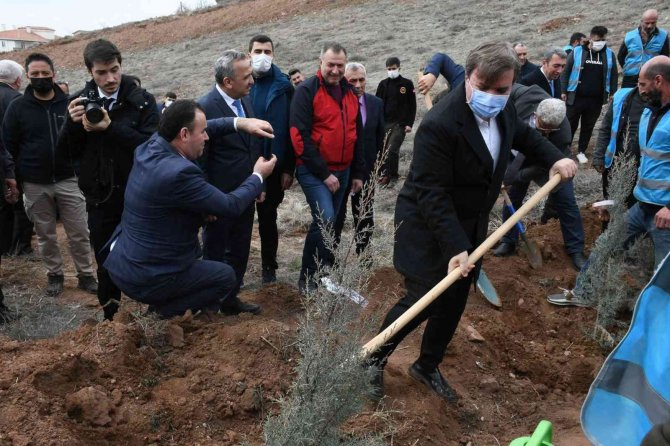 Adalet Ormanı’nda 7 Bin 500 Fidan Toprakla Buluşturuldu