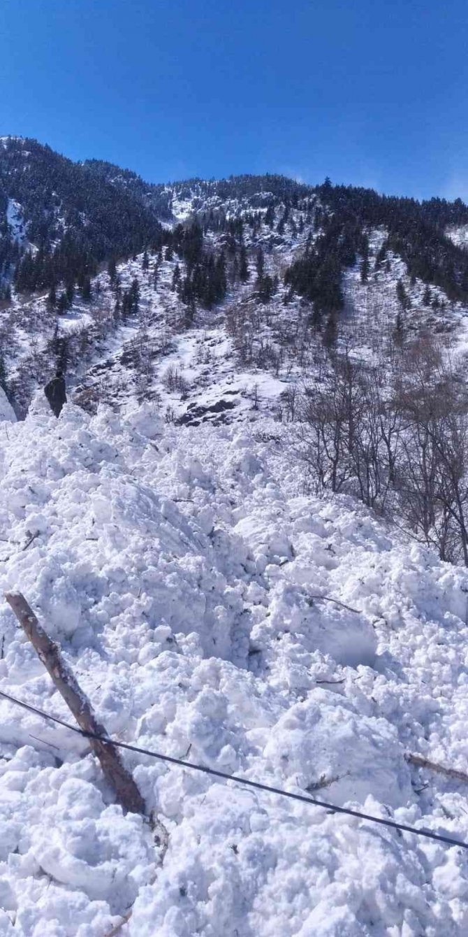 Artvin’de Çığ Köy Yolunu Ulaşıma Kapattı
