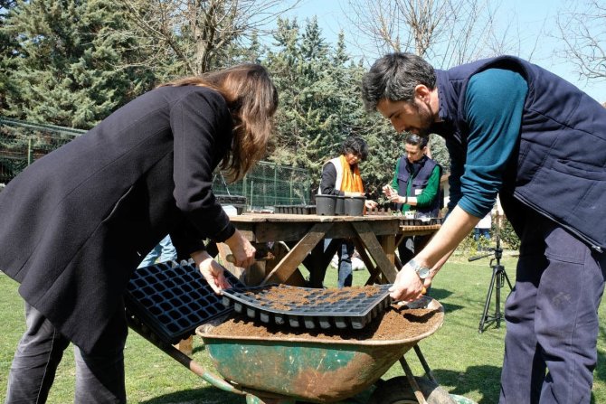 Zeytinburnu Tıbbi Bitkiler Bahçesi’nde Renk Cümbüşü Yaşanmaya Başladı