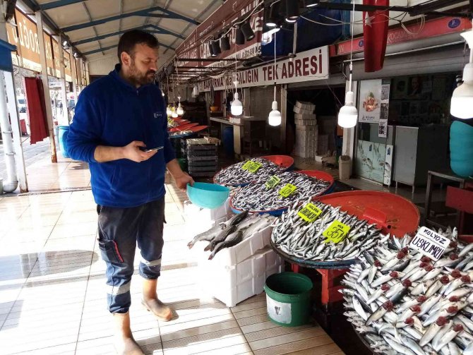 Balık Bolluğu Yaşanıyor, Fiyatlar Düşüyor