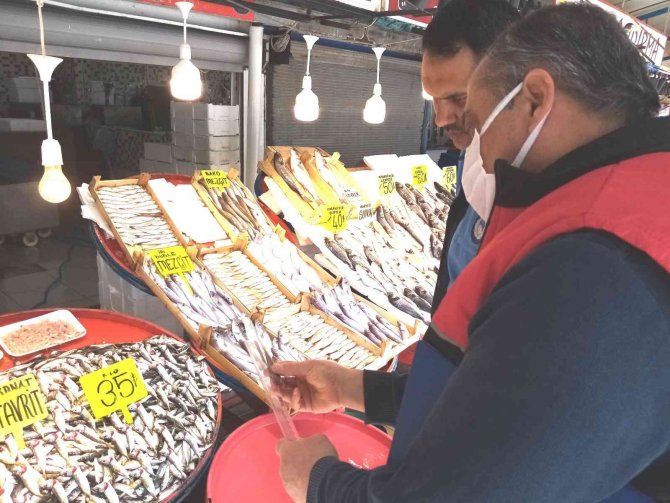 Bandırma Balık Hali Denetimden Geçti