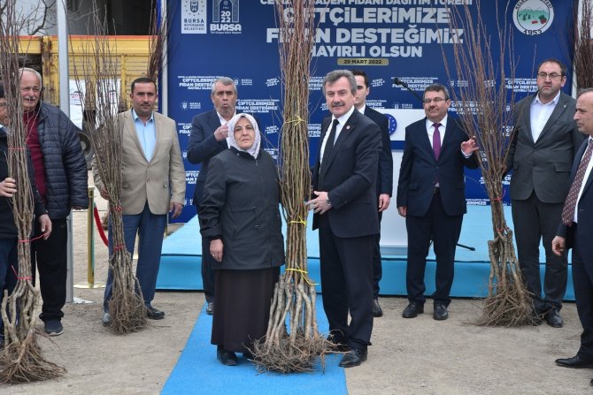 Kelesli Üreticiye Meyve Fidanı Ve Yem Tohumu Desteği