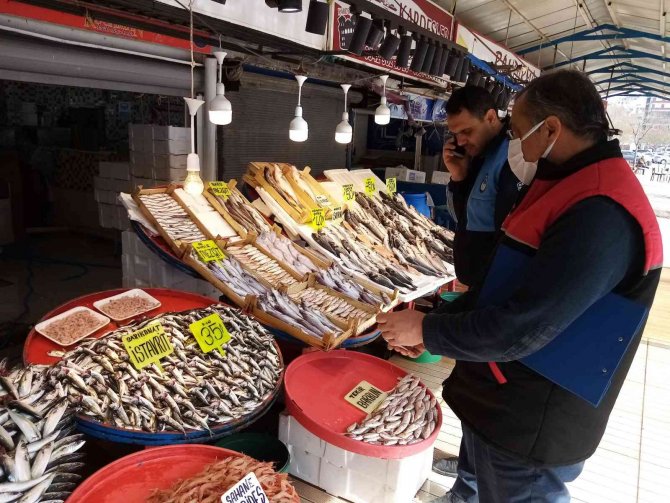 Bandırma Balık Hali Denetimden Geçti