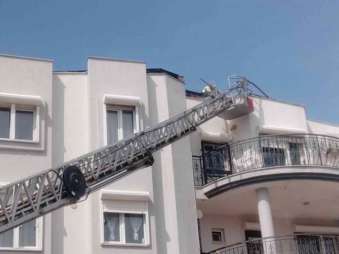 Binanın Çatı Katında Çıkan Yangın Korkuttu