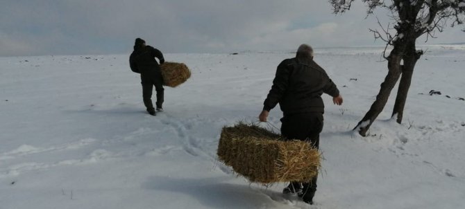 Elazığ’da Yaban Hayvanları İçin Doğaya Yem Bırakıldı