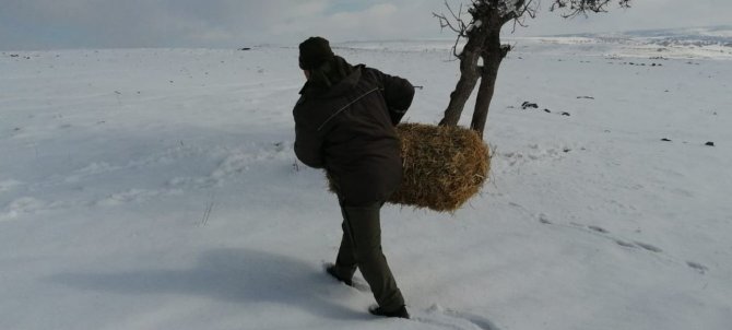 Elazığ’da Yaban Hayvanları İçin Doğaya Yem Bırakıldı