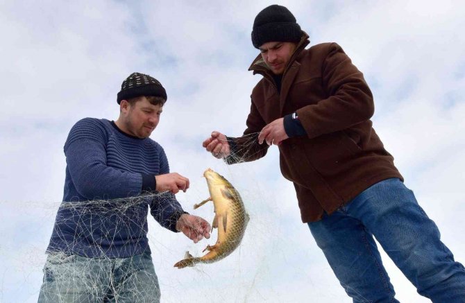 Erzincan’da Nisandan Haziran Ayının Sonuna Kadar Sazan Avı Yasaklandı