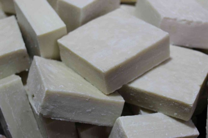 Mardin’in Eşek Sütü Sabunu Maldivler Yolunda