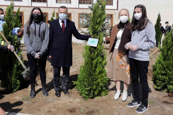 Gümüşhane Lisesinin Bahçesine 16 Selvi Ağacı Dikildi
