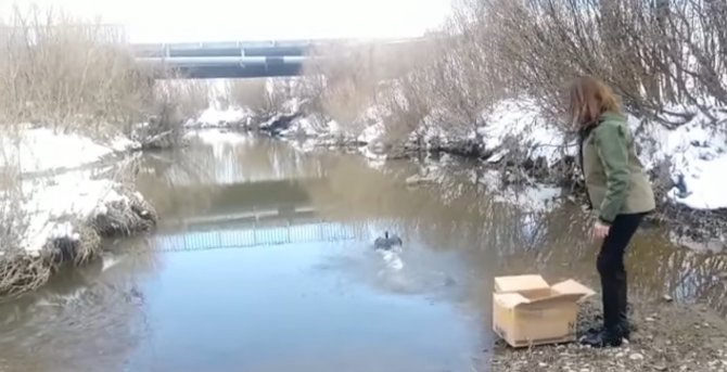 Kars’ta Sakarmeke’nin Tedavisi Tamamlandı