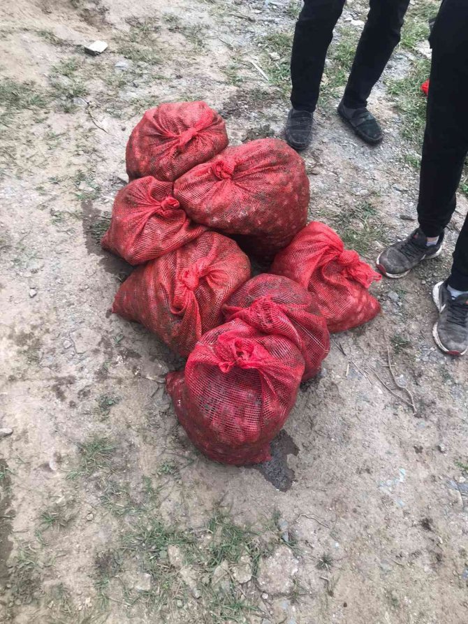 Yasak Midye Avcılarına ‘Kurbağa Adam’ Şoku