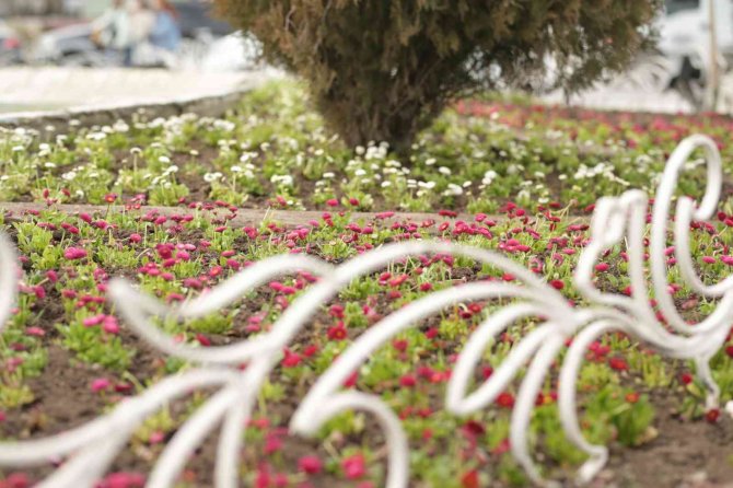 Kütahya’da Peyzaj Çalışmaları