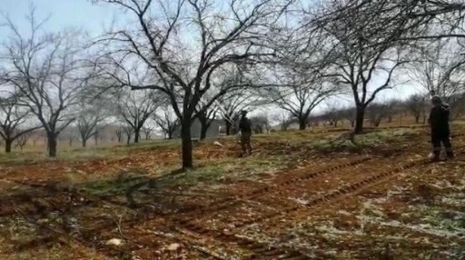 Malatya’da Çiftçiler Kayısı Ağaçlarını İlaçlıyor