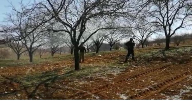 Malatya’da Çiftçiler Kayısı Ağaçlarını İlaçlıyor