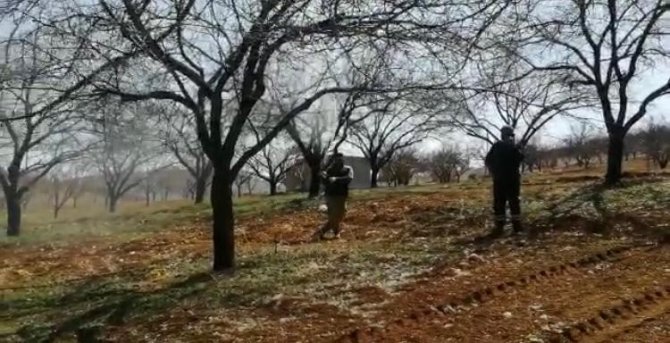Malatya’da Çiftçiler Kayısı Ağaçlarını İlaçlıyor