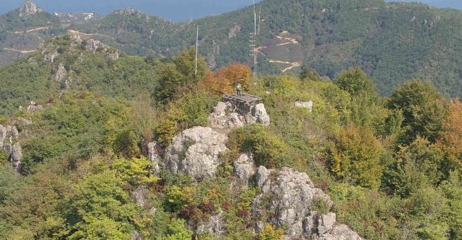 Yoroz’un Cazibesi Artıyor