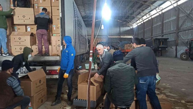 Bafra’da Tütün Alımları Başladı