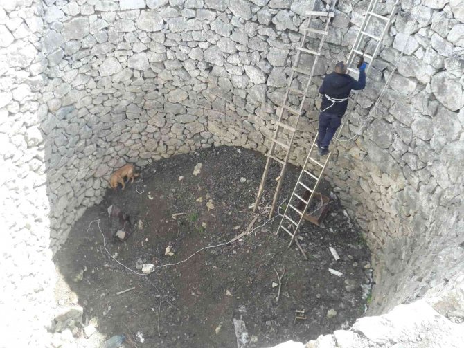 İ̇ki Gündür Kuyuda Can Çekişti, İmdadına İtfaiye Yetişti