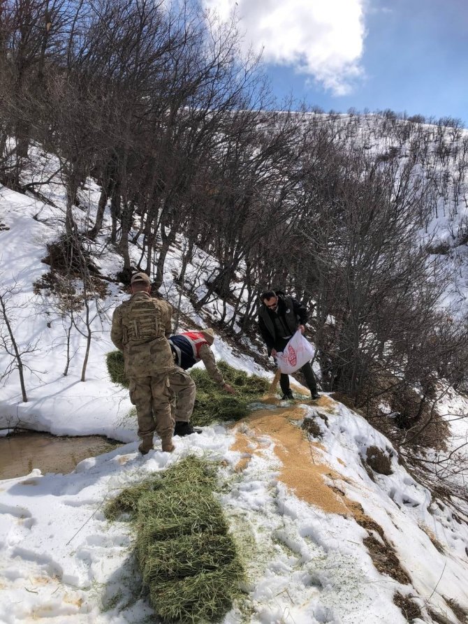 Tunceli’de Yaban Hayvanları İçin Doğaya Yem Bırakıldı