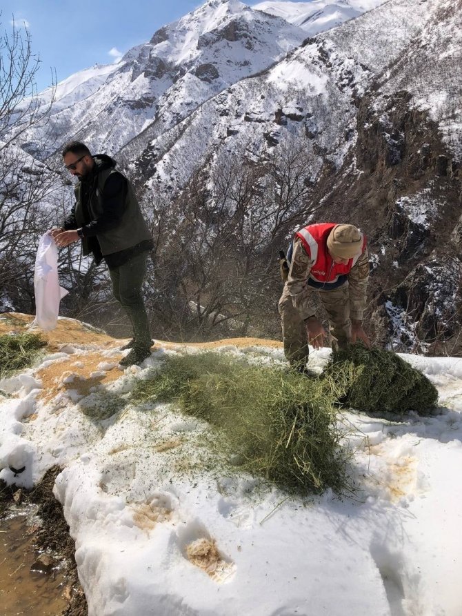 Tunceli’de Yaban Hayvanları İçin Doğaya Yem Bırakıldı