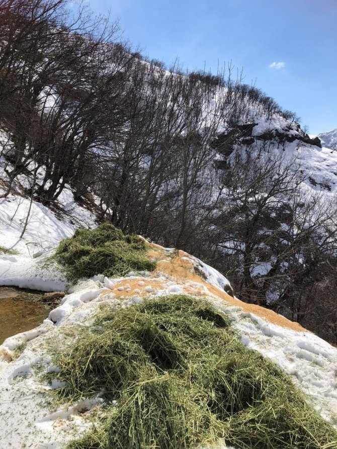Tunceli’de Yaban Hayvanları İçin Doğaya Yem Bırakıldı