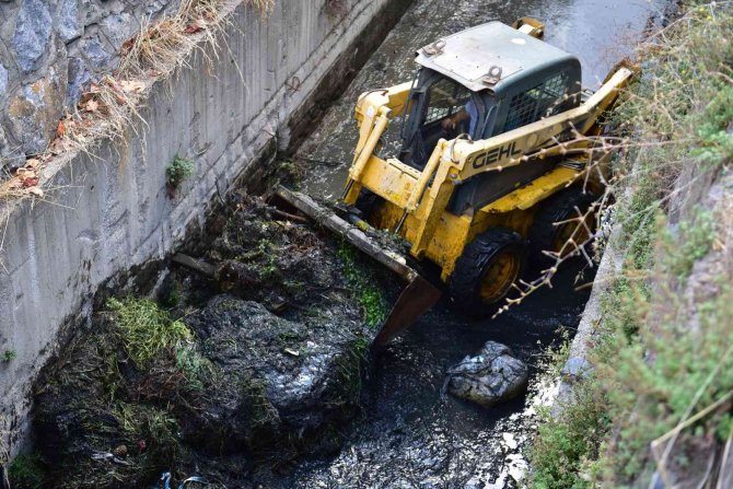 Tuzla’da Bahar Çalışmaları Sürüyor