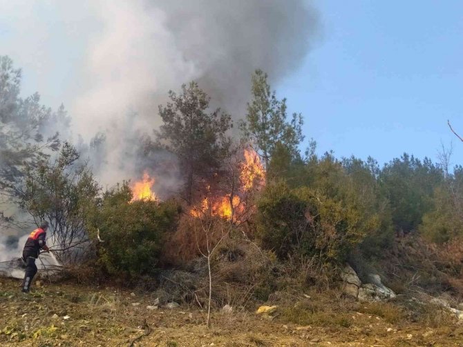 Yemek Pişirmek İsterken 80 Dönümlük Araziyi Yaktığı İddia Edilen Şahıs Tutuklandı