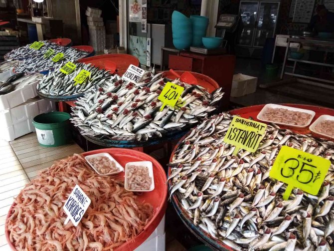 Balık Bolluğu Yaşanıyor, Fiyatlar Düşüyor