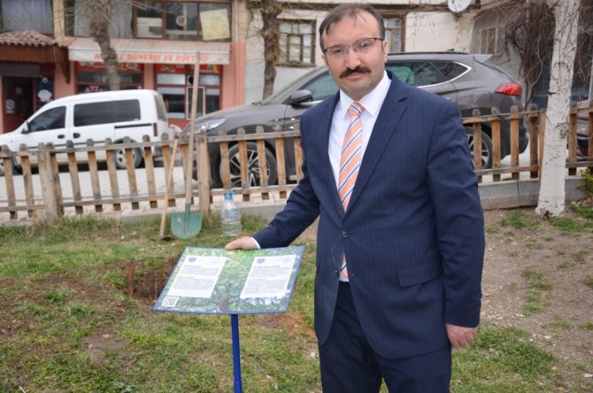 Asırlık İ̇nkaya Çınarı Fidan Ve Tohumları Emet’te Toprakla Buluştu