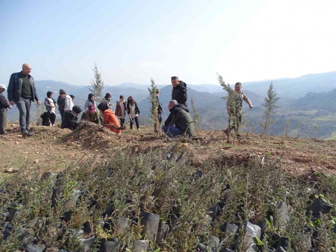"Geleceğe Nefes” Olacak Fidanlar Dikilmeye Devam Ediyor