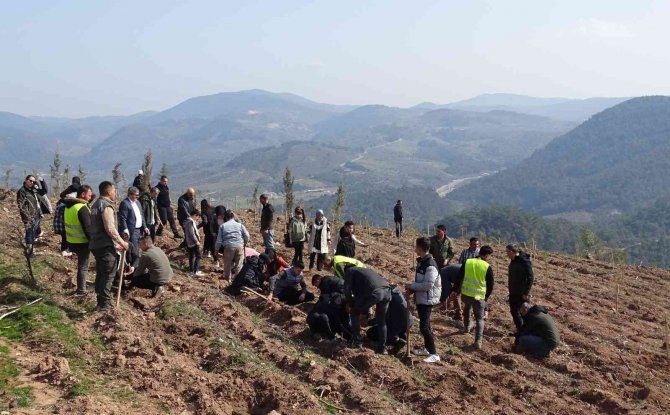 "Geleceğe Nefes” Olacak Fidanlar Dikilmeye Devam Ediyor