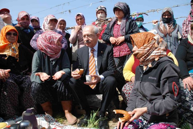 Kılıçdaroğlu Kadın Çiftçilerle Bağda Buluştu