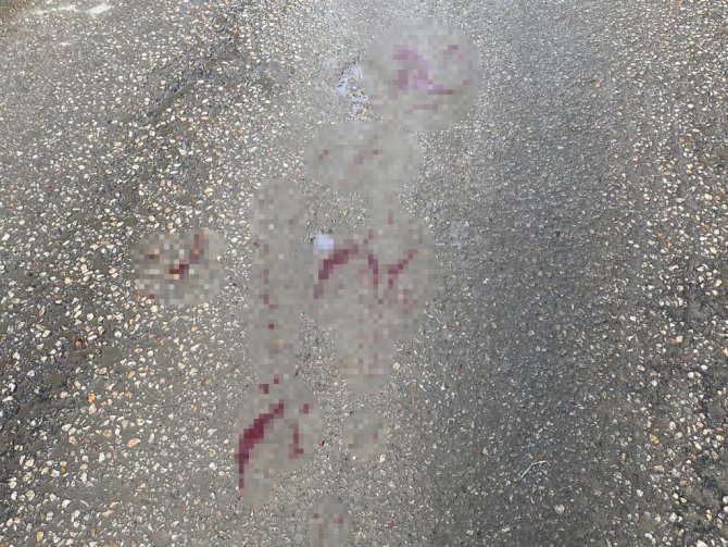 Elazığ’da Yan Baktın Meselesi Bıçaklı Kavgaya Dönüştü: 1 Yaralı