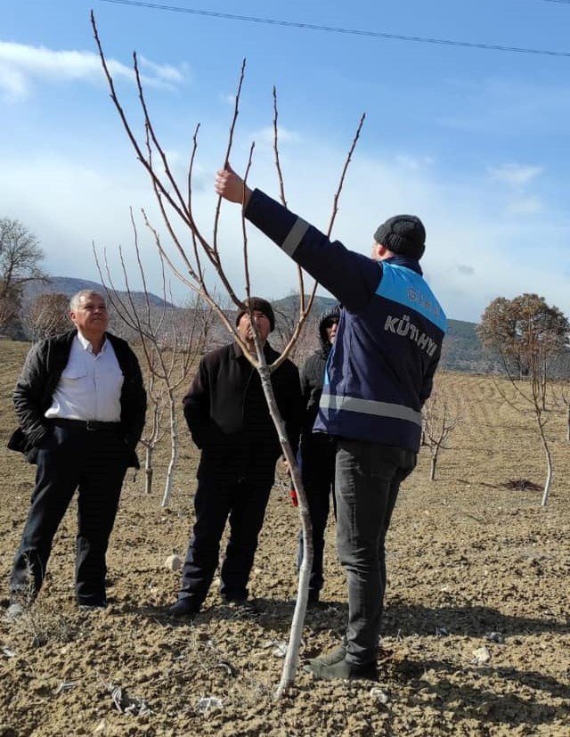 Gediz Üzümlü Köyünde Budama Teknikleri Eğitimi
