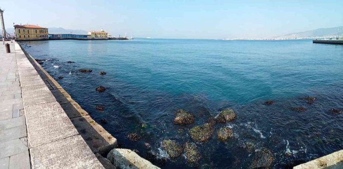 İ̇zmir Körfezi’nde Su Seviyesi 80 Santimetre Düştü, Deniz Ulaşımı Aksadı