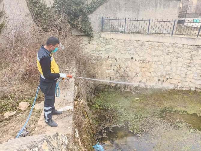 Kastamonu’da Haşere İle Mücadele Çalışmalarını Sürdürüyor
