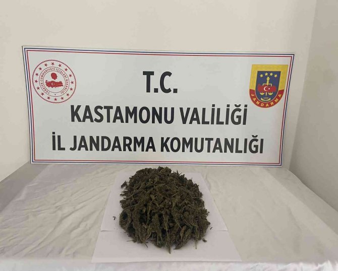 Kastamonu’da Uyuşturucu Operasyonu: 1 Tutuklama